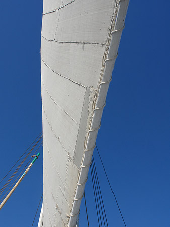 Foto Felucca