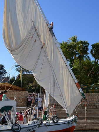 Felucca