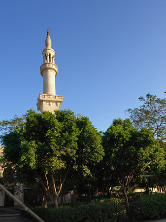 Moschee in Luxor Fotos