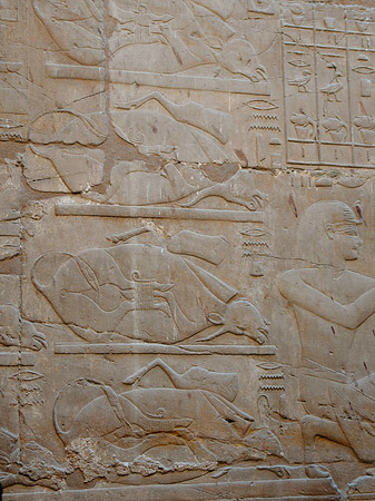 Hieroglyphen Fotos