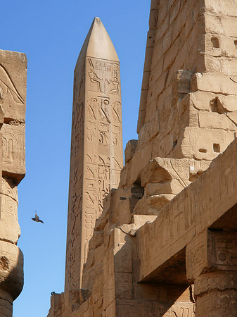 Fotos Obelisk | Luxor