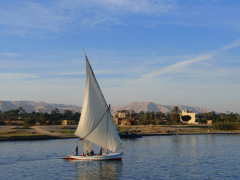 Felucca