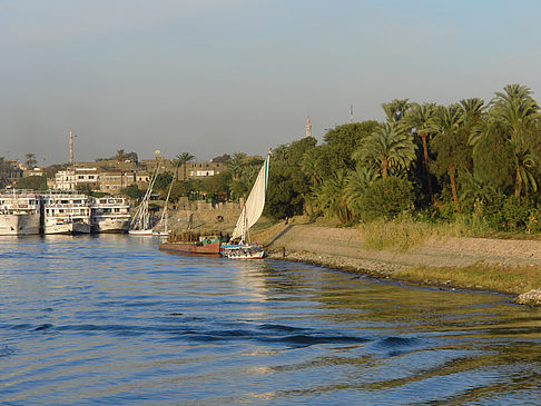 Felucca