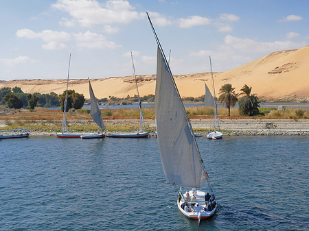 Fotos Felucca | Kôm Ombo