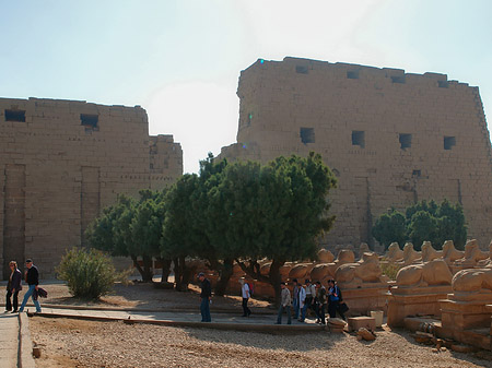 Fotos Karnak Tempel | 