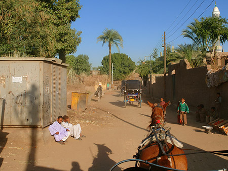 Foto Kutschen - Luxor