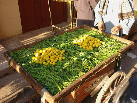 Markt Foto 