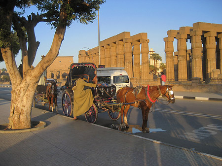 Fotos Luxor Tempel bei Sonnenuntergang