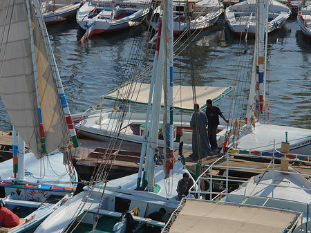 Foto Felucca