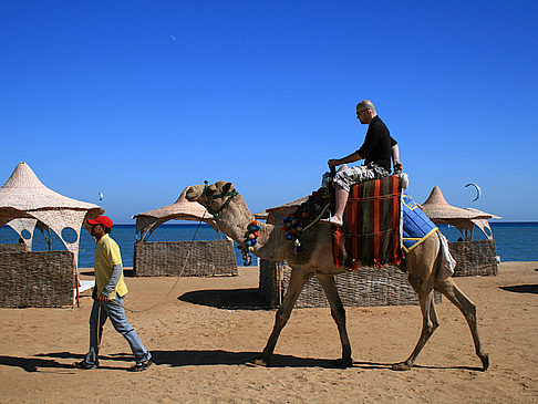  Impressionen Sehenswürdigkeit  von Ägypten 