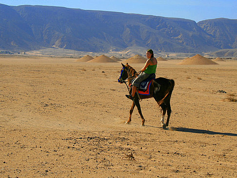 El Gouna Fotos