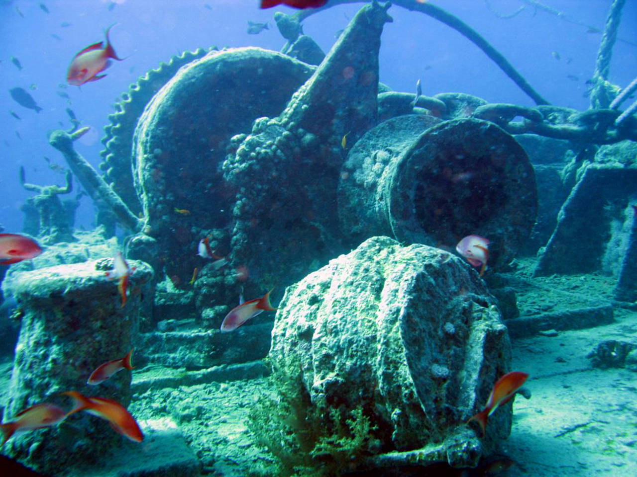  Fotografie von Citysam  Wrack der Thistlegorm im Roten Meer